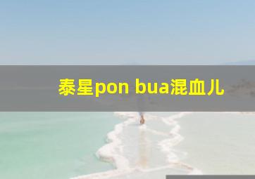 泰星pon bua混血儿